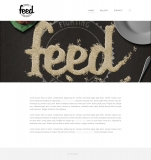Feed-Webdesign-Home