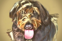 artflow_201408041349