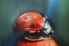 b265c4_5cb8666fc1dc479a8b1463af86dc7769