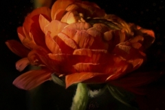 b265c4_7489ddfedab14d0ab9598fa3157d5f12