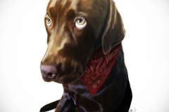 b265c4_c7626b027b6143e48f341268827eb3d9