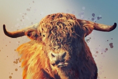 b265c4_f6b5ac46cac74879bad338299887265a