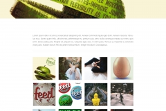 Feed-Webdesign-Gallery