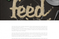 Feed-Webdesign-Home