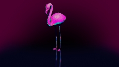 Flamingo