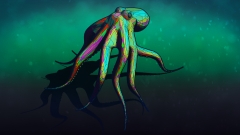 Octopus