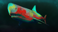 Shark