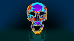 Skull