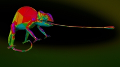 chameleon_w_wire