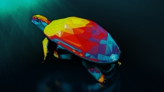 turtle