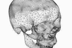 wp-1485361712002