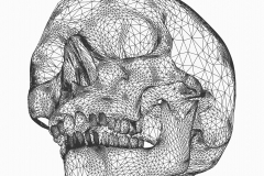 wp-1485361712046
